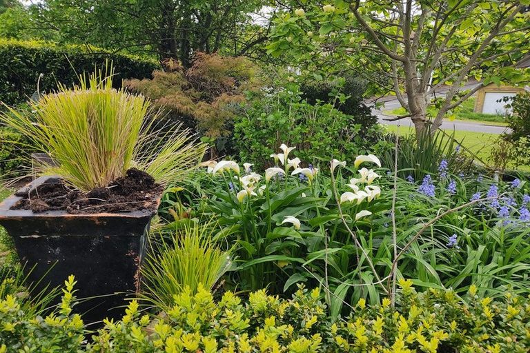 Photo of property in 113 Parawai Road, Thames, 3500