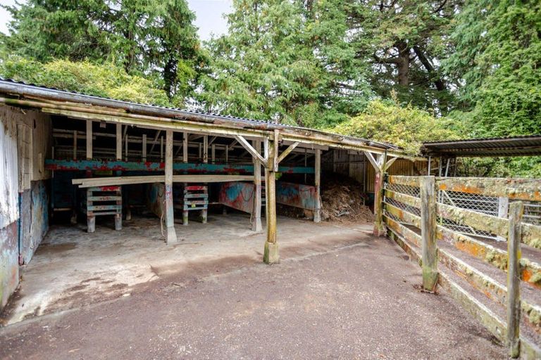 Photo of property in 406 Top Grass Road, Dannevirke, 4978