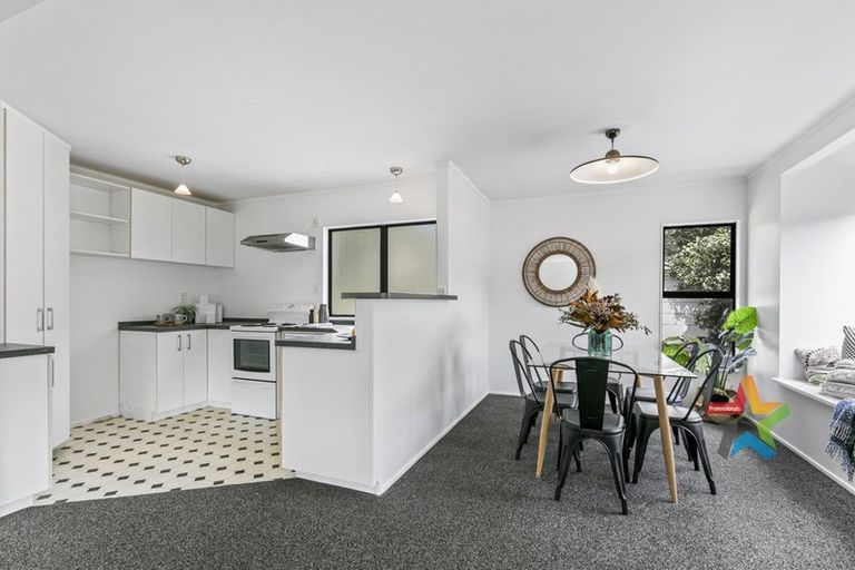 Photo of property in 113 Houghton Bay Road, Houghton Bay, Wellington, 6023