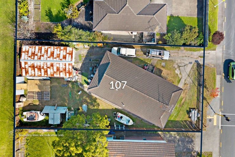 Photo of property in 103 Sunnynook Road, Forrest Hill, Auckland, 0620