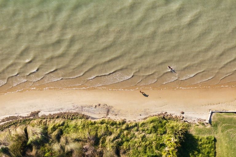 Photo of property in 41a Pahoia Beach Road, Whakamarama, Tauranga, 3172