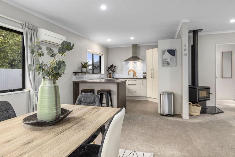 Photo of property in 3 Toki Way, Redwoodtown, Blenheim, 7201