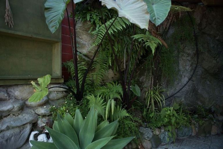 Photo of property in 1 Alexander Street, Greymouth, 7805