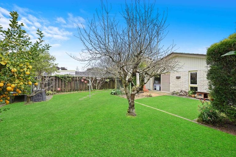 Photo of property in 56 Glen Lynne Avenue, Queenwood, Hamilton, 3210