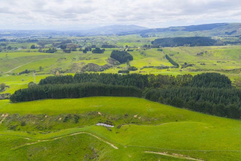Photo of property in 158 Pahiatua Aokautere Road, Aokautere, 4471