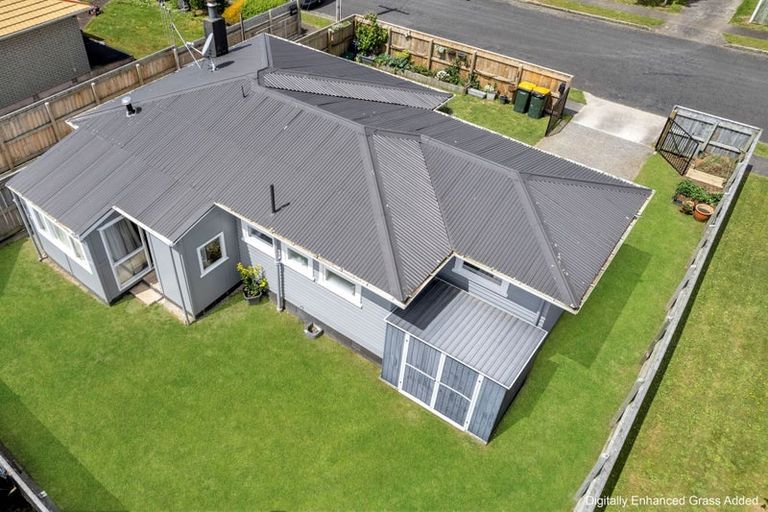 Photo of property in 17 Ferguson Street, Levin, 5510