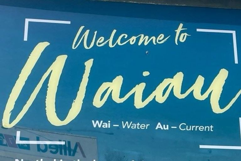 Photo of property in 10 Balmoral Street, Waiau, 7332