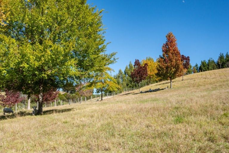 Photo of property in 154 Williams Road, Tasman, Upper Moutere, 7173