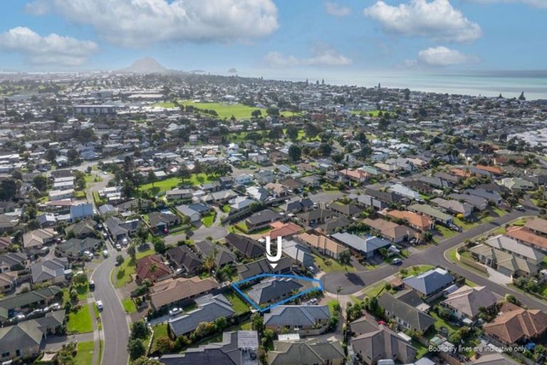 Photo of property in 19 Crichton Terrace, Mount Maunganui, 3116