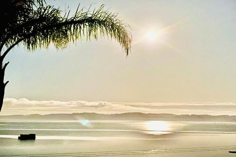 Photo of property in 632 Kellys Bay Road, Pouto, Te Kopuru, 0391