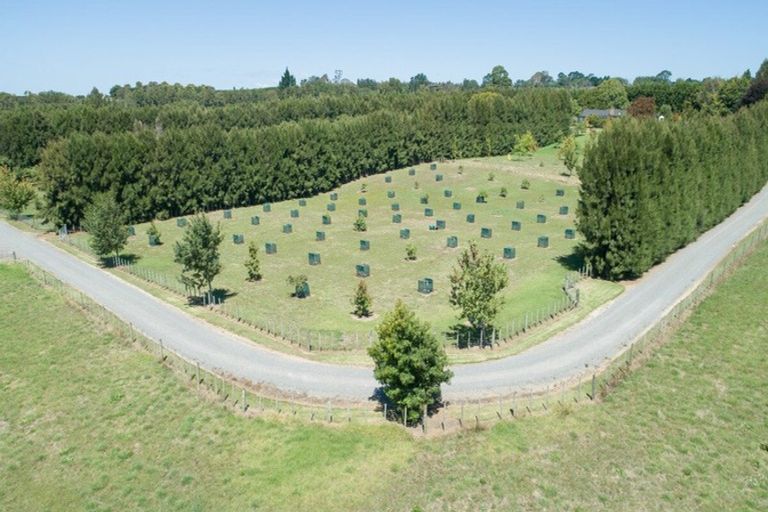 Photo of property in 30c Thompsons Track, Aongatete, Katikati, 3178