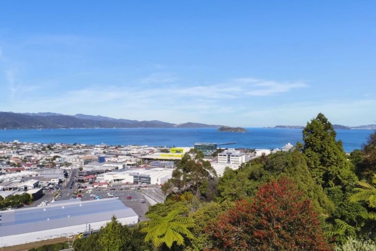 Photo of property in 31 Rakeiora Grove, Korokoro, Lower Hutt, 5012