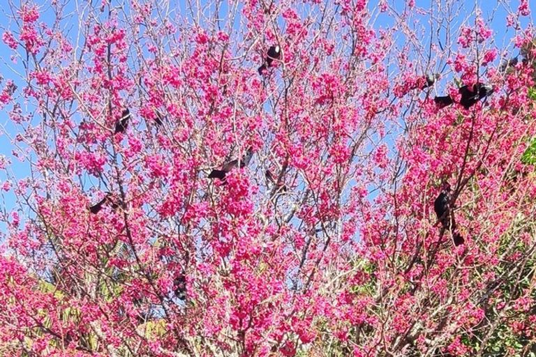 Photo of property in 9 Woodlands Avenue, Snells Beach, 0920