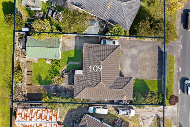 Photo of property in 103 Sunnynook Road, Forrest Hill, Auckland, 0620