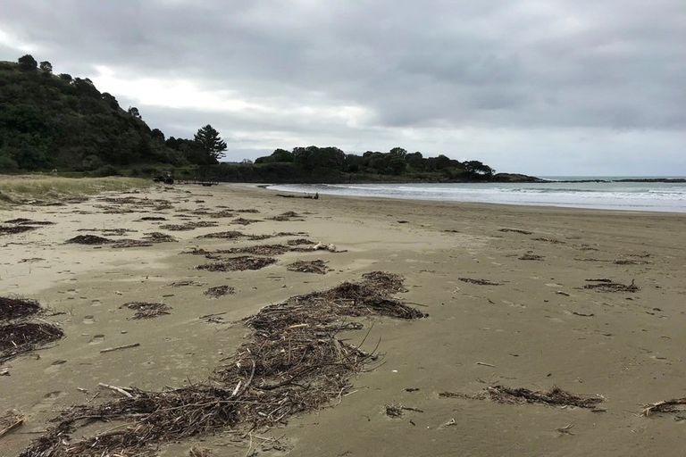 Photo of property in 130 Onepoto Road, Hicks Bay, Tikitiki, 4087