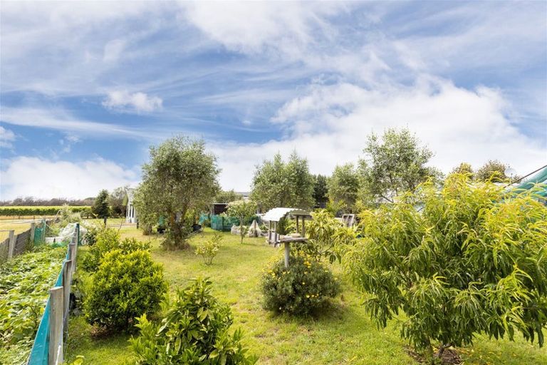 Photo of property in 84 Rarangi Road, Rarangi, Blenheim, 7273
