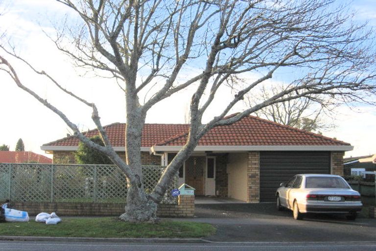 Photo of property in 103a Clarkin Road, Fairfield, Hamilton, 3214