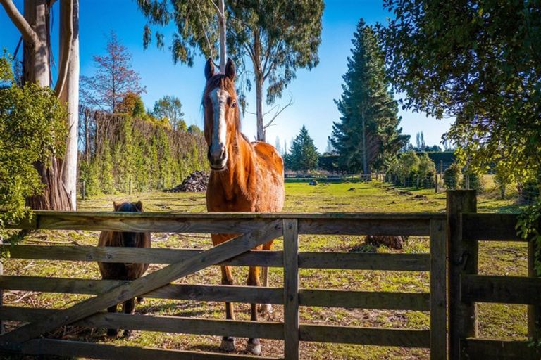 Photo of property in 173 Bells Road, West Melton, Christchurch, 7671