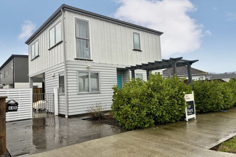 Photo of property in 44a Pine Avenue, Upper Hutt Central, Upper Hutt, 5018