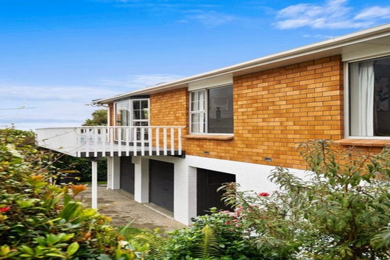 Photo of property in 5a Fifield Street, Roslyn, Dunedin, 9010