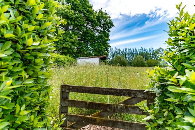 Photo of property in 231 Masterton Castlepoint Road, Te Ore Ore, Masterton, 5886