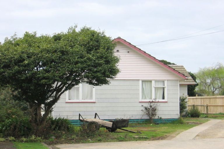 Photo of property in 5 Dunbar Street, Levin, 5510