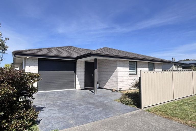 Photo of property in 609a Maddison Street, Akina, Hastings, 4122