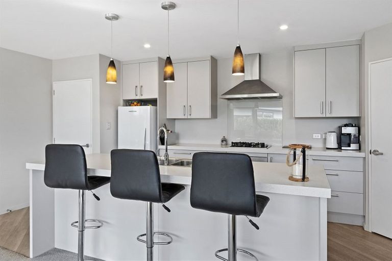 Photo of property in 22 Crowder Street, Lincoln, 7608