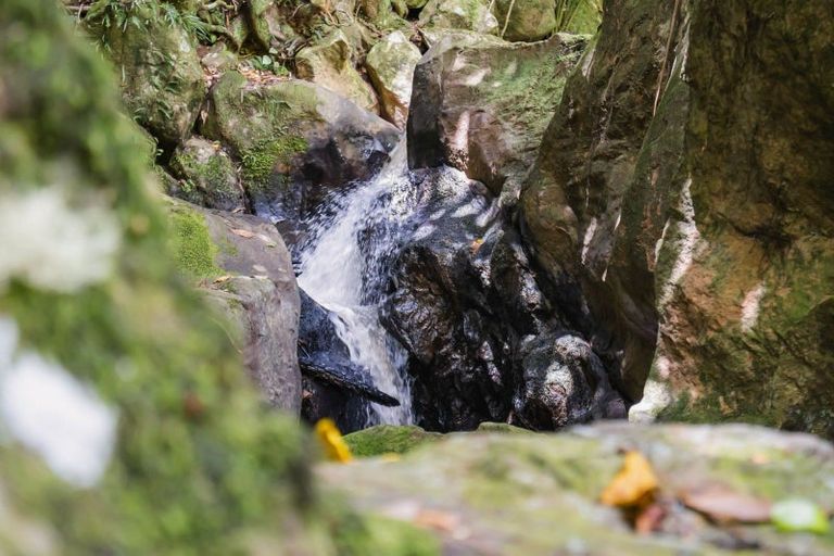 Photo of property in 76 Forest View Road, Te Kamo, Kamo, 0185