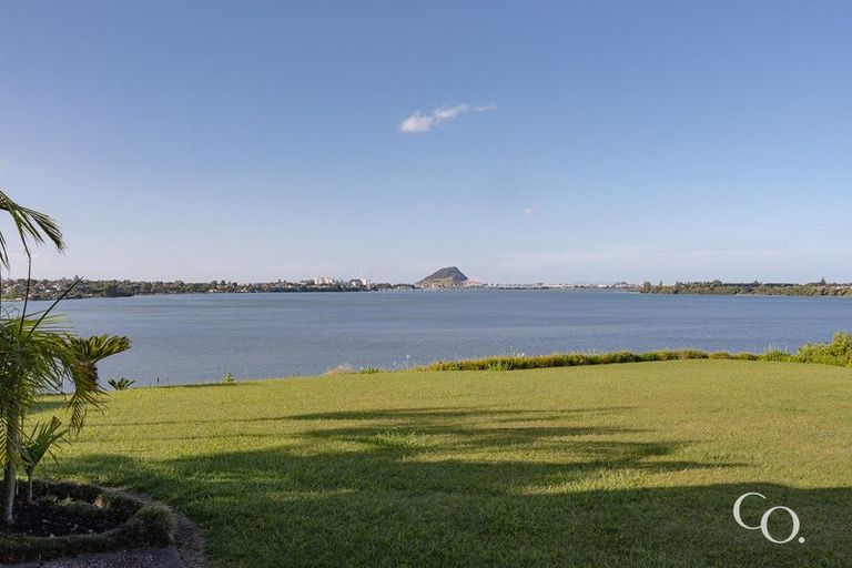 Photo of property in 15 Mersea Place, Maungatapu, Tauranga, 3112