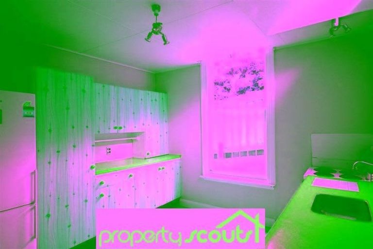 Photo of property in 8 Allandale Road, Saint Clair, Dunedin, 9012