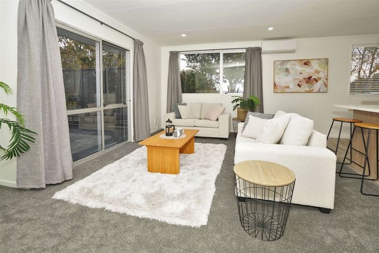 Photo of property in 40d Gibson Road, Dinsdale, Hamilton, 3204