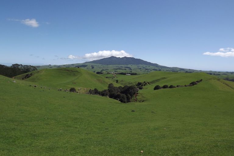 Photo of property in 333a Houchen Road, Raglan, 3295