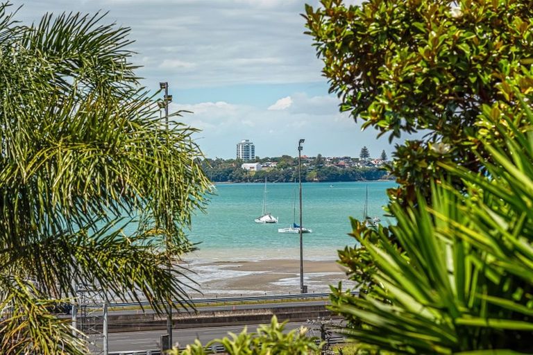 Photo of property in 1/91 Princes Street, Northcote Point, Auckland, 0627