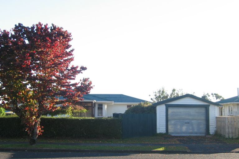 Photo of property in 154 Elizabeth Drive, Tokoroa, 3420
