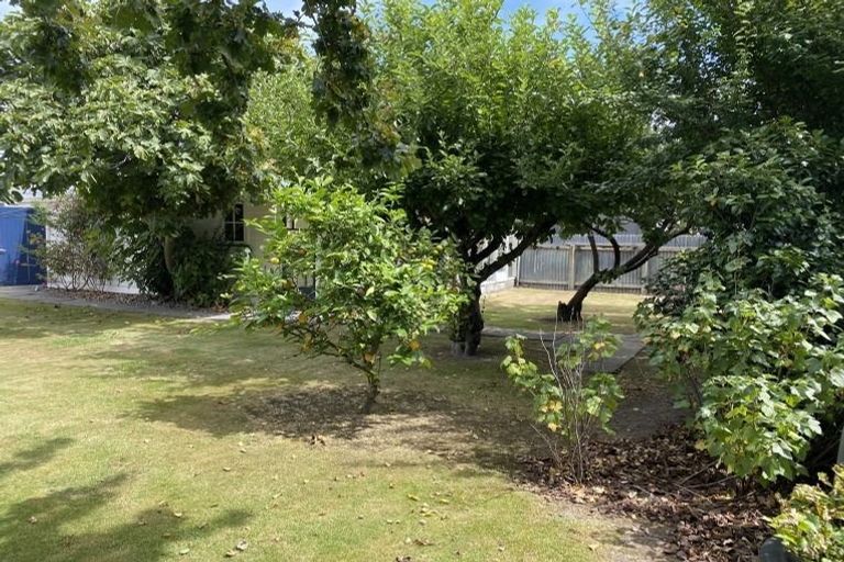 Photo of property in 54 Guy Avenue, Takaro, Palmerston North, 4410