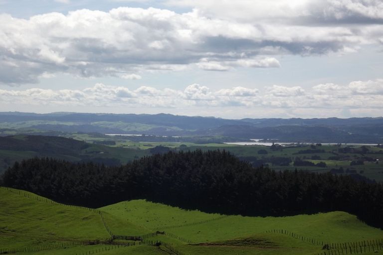 Photo of property in 333a Houchen Road, Raglan, 3295