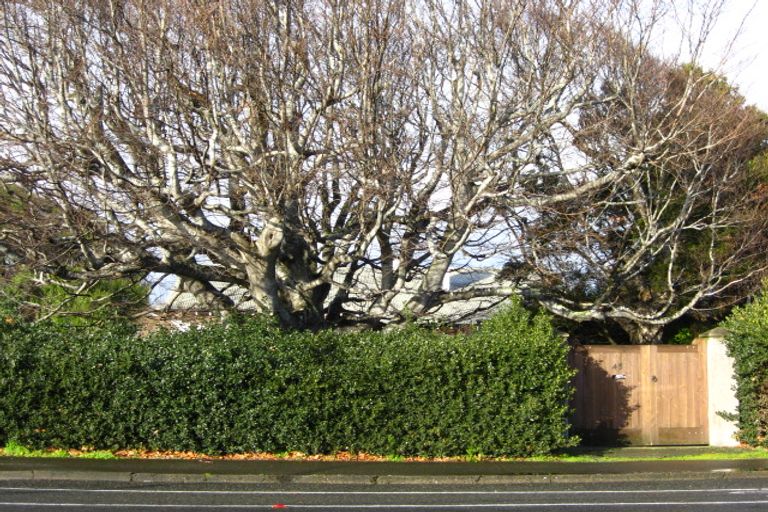 Photo of property in 45 Duke Street, Gladstone, Invercargill, 9810