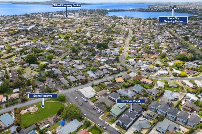 Photo of property in 12a Tiber Road, Forrest Hill, Auckland, 0620