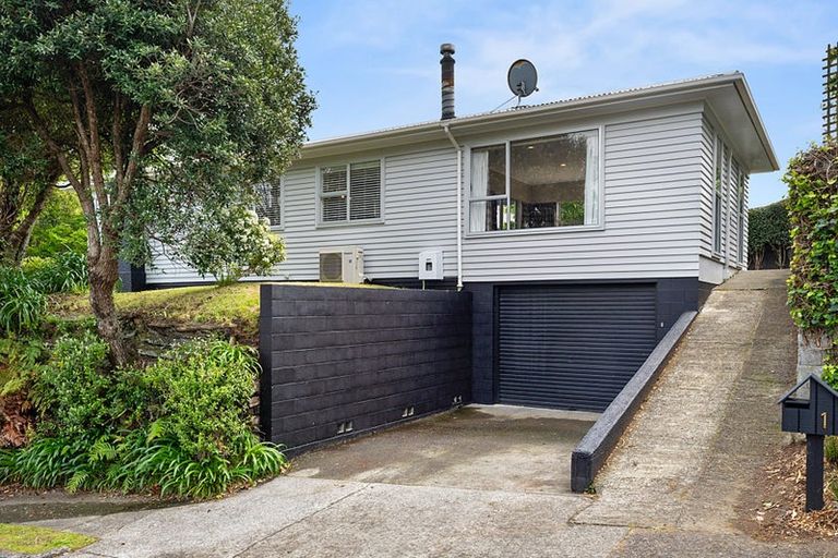 Photo of property in 1 Horne Street, Hurdon, New Plymouth, 4310