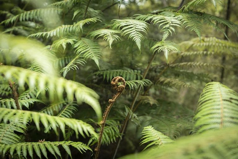 Photo of property in 54b Harambee Road, Taiharuru, Parua Bay, 0192