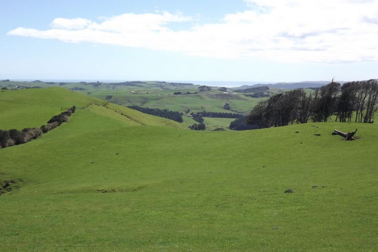 Photo of property in 333a Houchen Road, Raglan, 3295