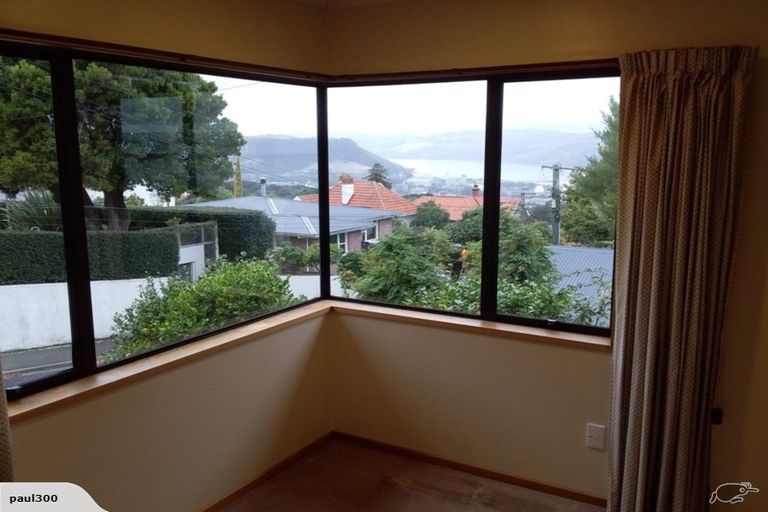 Photo of property in 3 Merlin Street, Roslyn, Dunedin, 9010