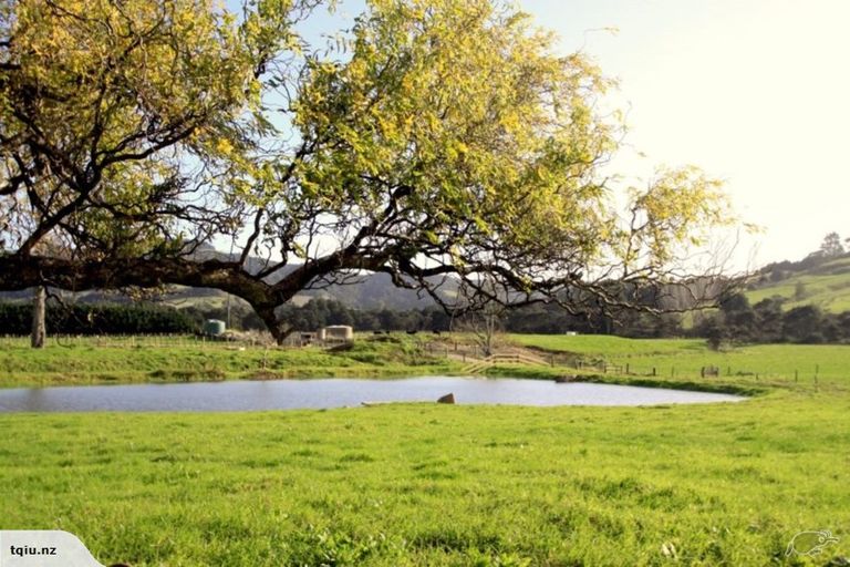 Photo of property in 1313 Whangaripo Valley Road, Whangaripo, Wellsford, 0972