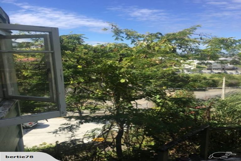 Photo of property in 110 Bella Street, Thames, 3500