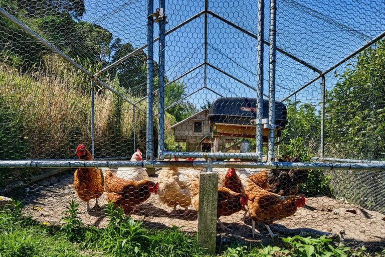 Photo of property in 137 Barnard Street, Wadestown, Wellington, 6012