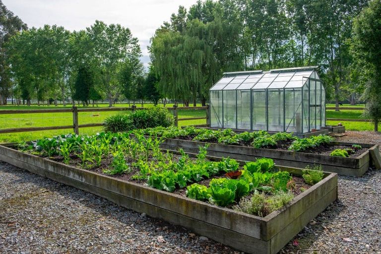 Photo of property in 133 Springfield Road, Temuka, 7986