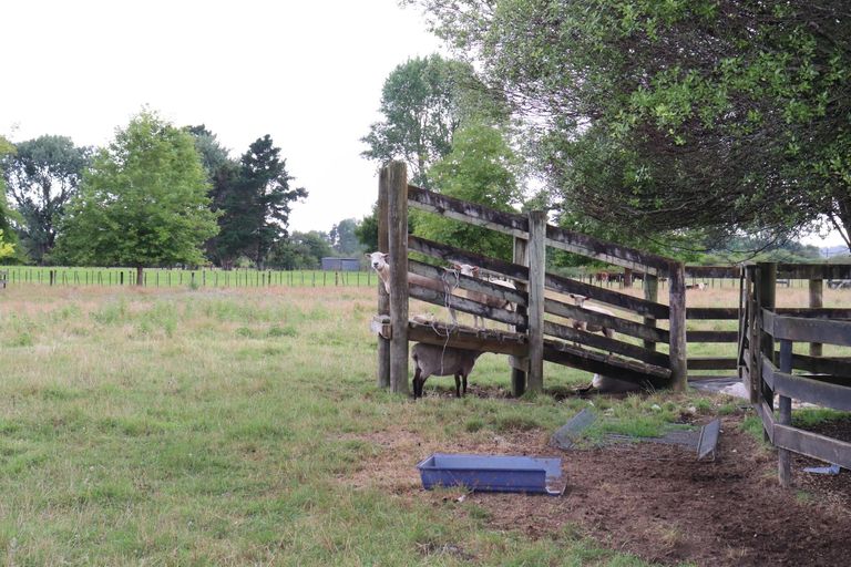 Photo of property in 511b Ngaruawahia Road, Te Kowhai, Hamilton, 3288