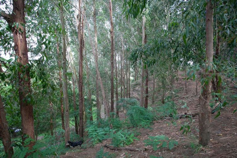 Photo of property in 246 Mystery Creek Road, Ohaupo, 3881