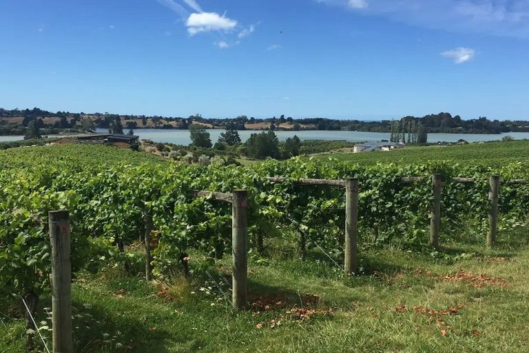 Photo of property in 49 Aranui Road, Mapua, 7005